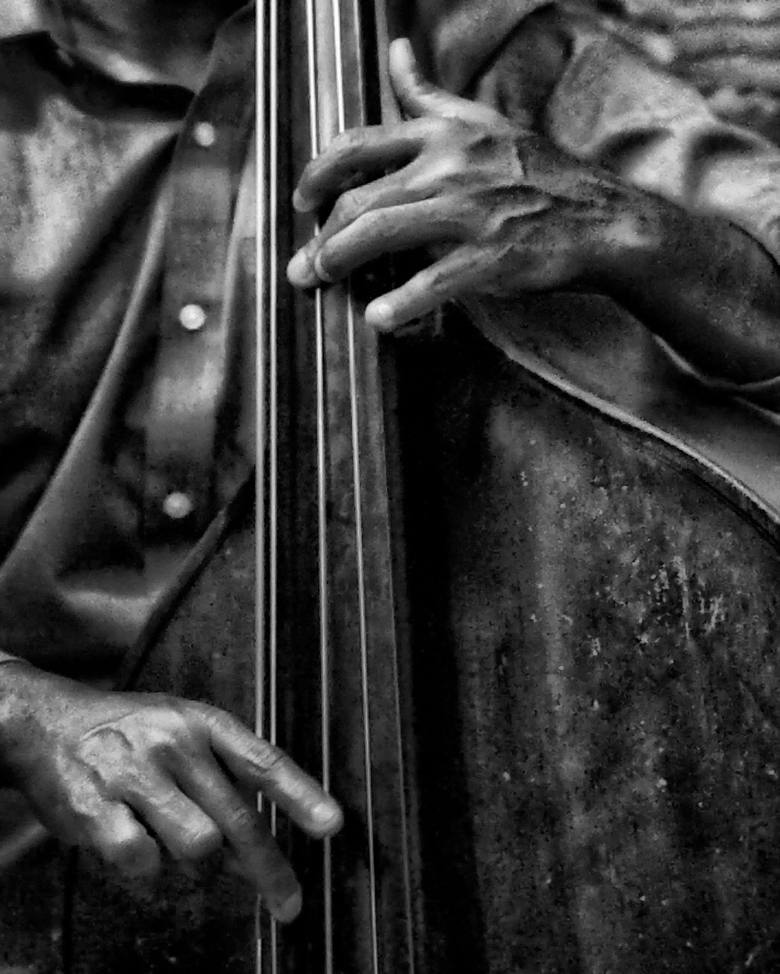 Jacob William photo by Rob Miller8-16-14